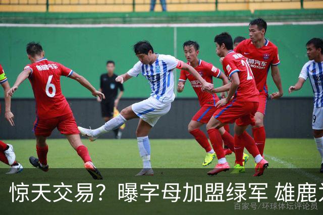 惊天交易？曝字母加盟绿军 雄鹿为布朗寻找第三方